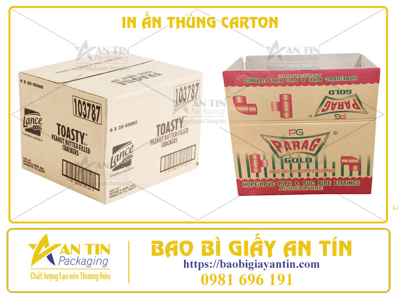 Bí Quyết Thu Hút Khách Hàng, Tạo Ấn Tượng Mạnh Với Thùng Carton In Ấn Đẹp Mắt