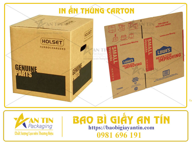 Bí Quyết Thu Hút Khách Hàng, Tạo Ấn Tượng Mạnh Với Thùng Carton In Ấn Đẹp Mắt