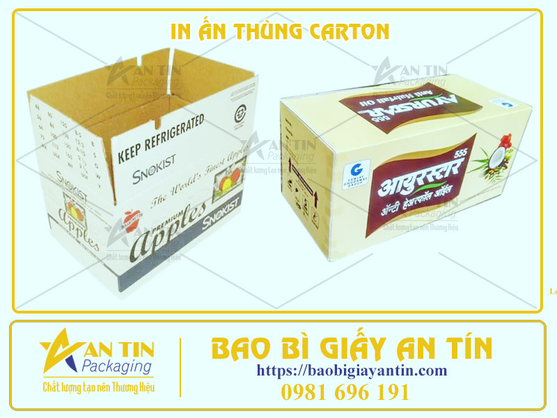 Bí Quyết Thu Hút Khách Hàng, Tạo Ấn Tượng Mạnh Với Thùng Carton In Ấn Đẹp Mắt