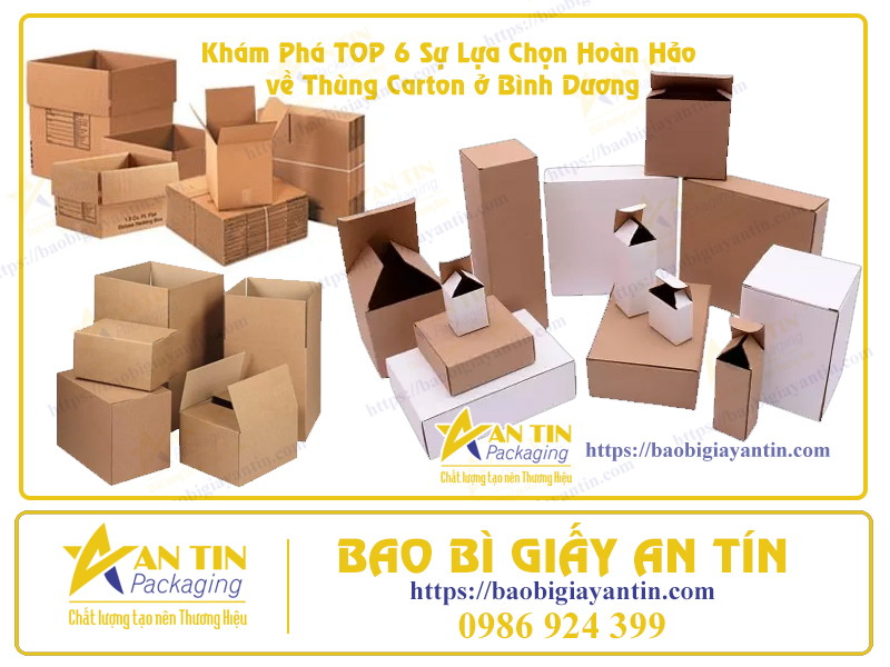 Các loại thùng hộp carton tại Bình Dương Các loại thùng hộp carton tại Bình Dương