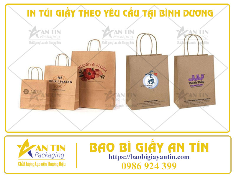 Cập Nhật Xu Hướng In Túi Giấy Theo Yêu Cầu Tại Bình Dương