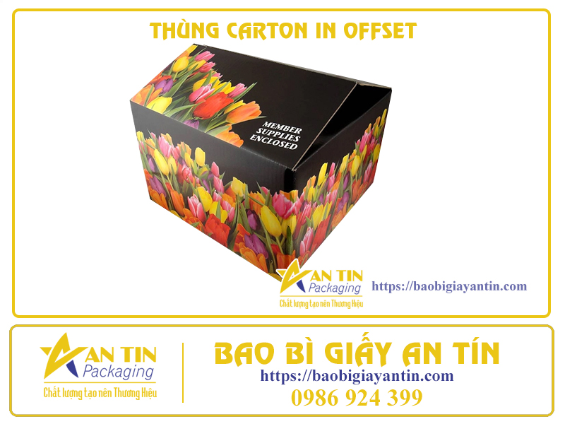 Chất Lượng Vượt Trội Và Tiết Kiệm - Thùng Carton 3 Lớp In Offset