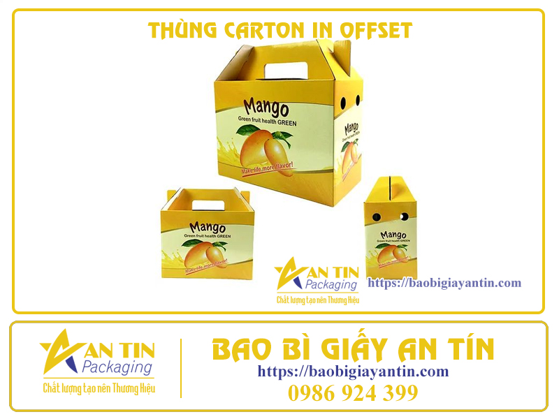 Chất Lượng Vượt Trội Và Tiết Kiệm - Thùng Carton 3 Lớp In Offset
