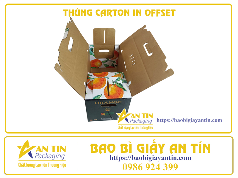 Chất Lượng Vượt Trội Và Tiết Kiệm - Thùng Carton 3 Lớp In Offset