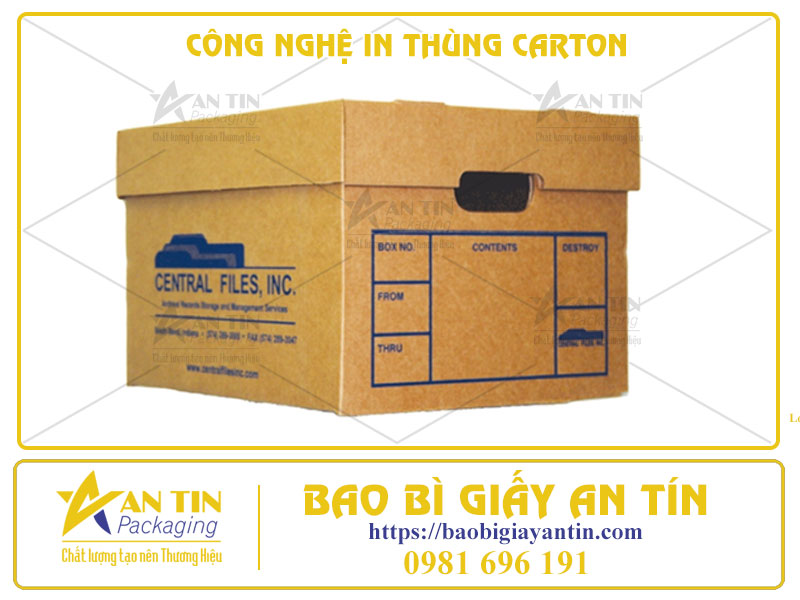 Công Nghệ In Thùng Carton Tiên Tiến Nhất 2024 - Bạn Đã Biết Chưa
