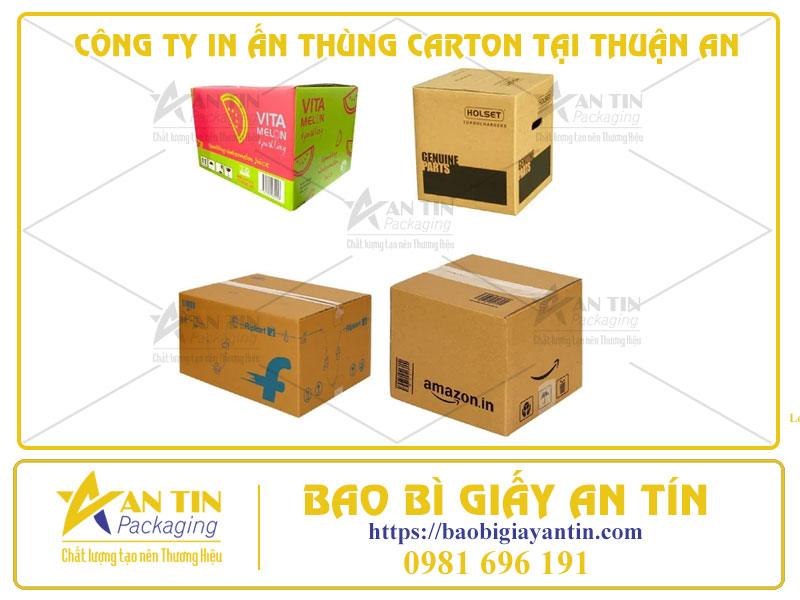 Công Ty In Ấn Thùng Carton Tại Thuận An - Công Nghệ Flexo Và Offset Chất Lượng Cao