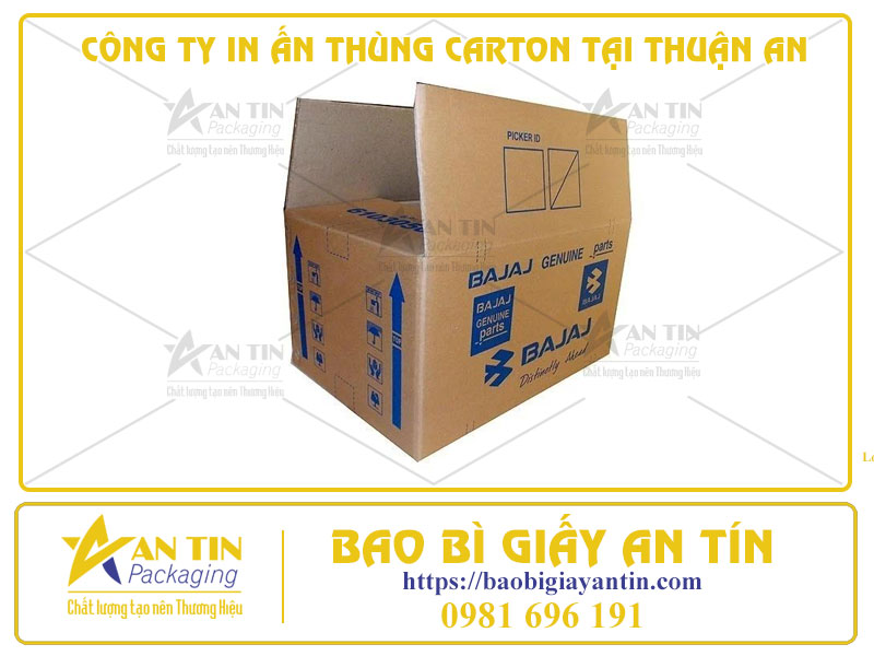 Công Ty In Ấn Thùng Carton Tại Thuận An - Công Nghệ Flexo Và Offset Chất Lượng Cao