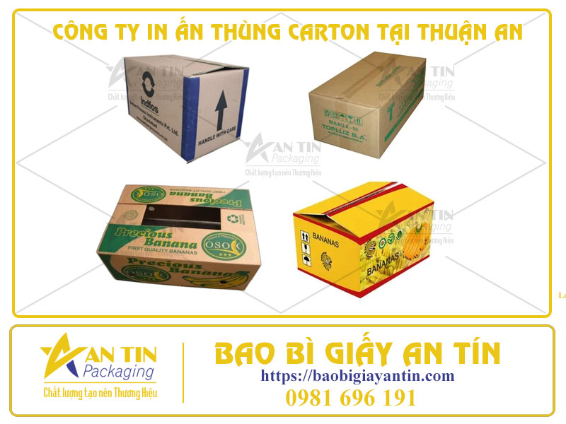 Công Ty In Ấn Thùng Carton Tại Thuận An - Công Nghệ Flexo Và Offset Chất Lượng Cao