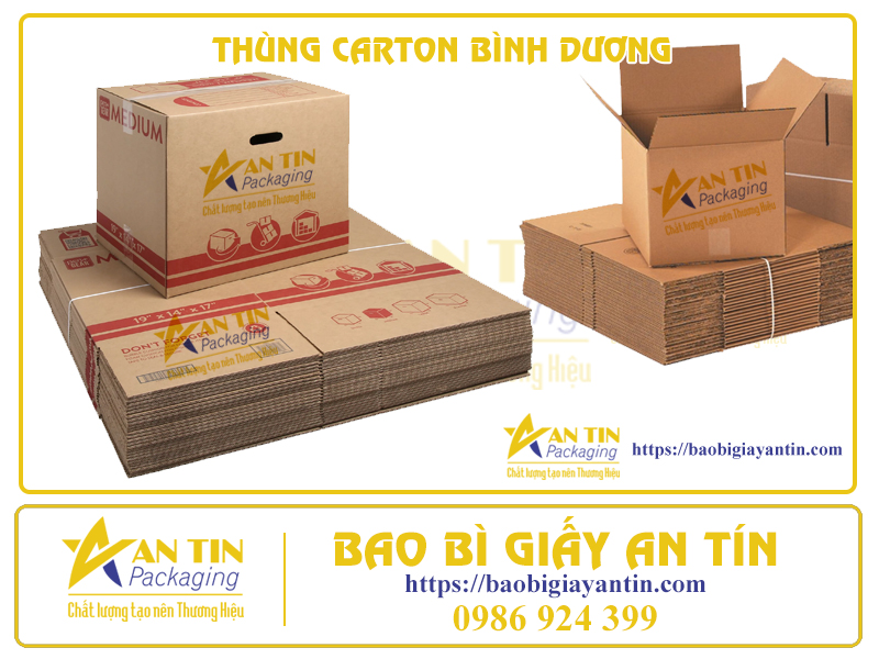 Công ty sản xuất thùng carton Bình Dương