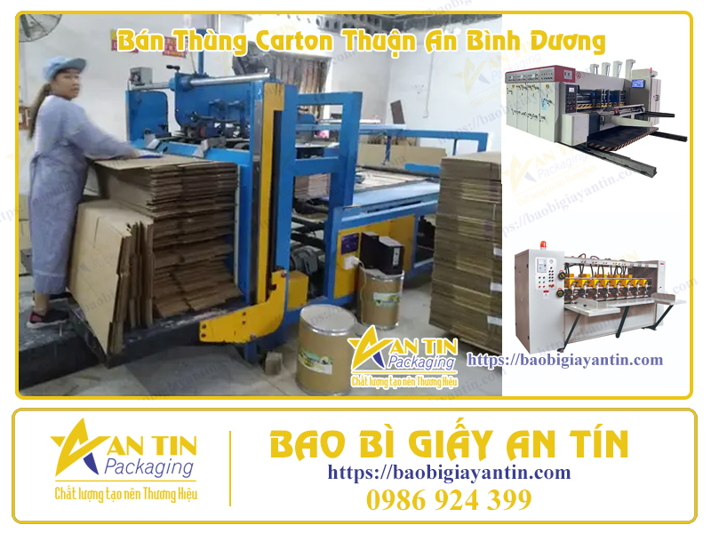 Công ty sản xuất thùng carton tại Bình Dương Công ty sản xuất thùng carton tại Bình Dương