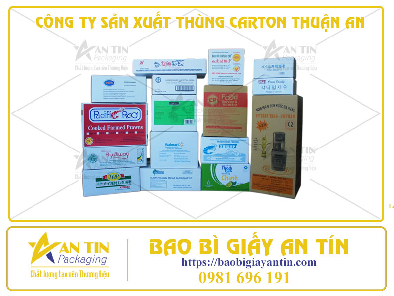 Công Ty Sản Xuất Thùng Carton Thuận An - Đáp Ứng Đầy Đủ Các Tiêu Chuẩn