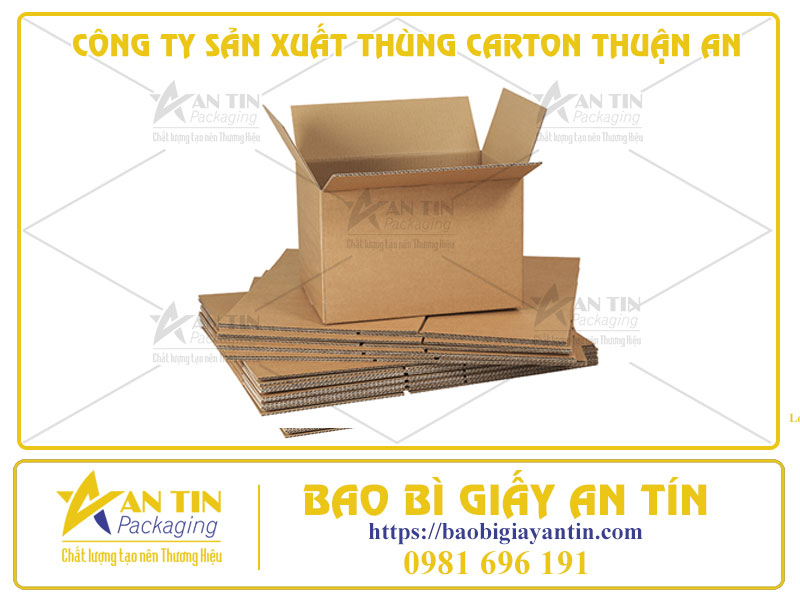 Công Ty Sản Xuất Thùng Carton Thuận An - Đáp Ứng Đầy Đủ Các Tiêu Chuẩn