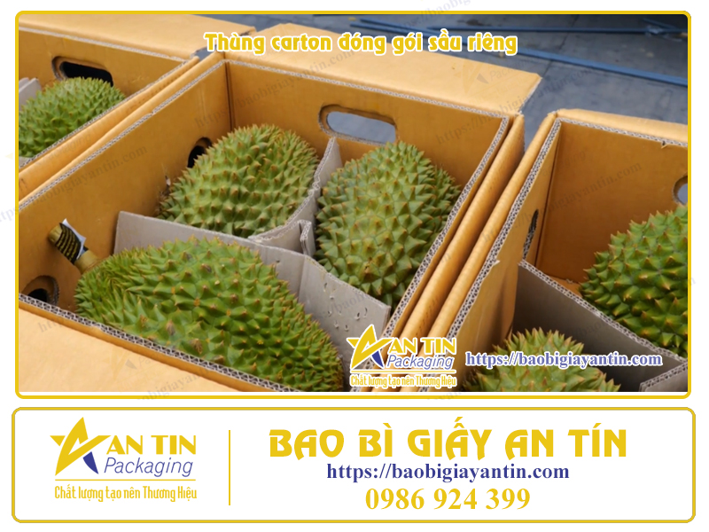 Đặt thùng đóng gói Sầu riêng Đặt thùng đóng gói Sầu riêng