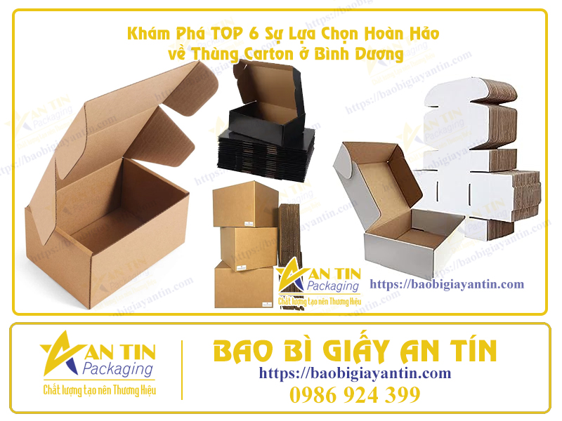Địa chỉ mua hộp carton ở Bình Dương Địa chỉ mua hộp carton ở Bình Dương