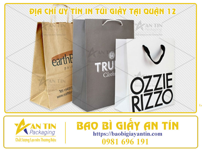 Địa Chỉ Uy Tín In Túi Giấy Tại Quận 12 - Sản Phẩm Chất Lượng Với Giá Xưởng