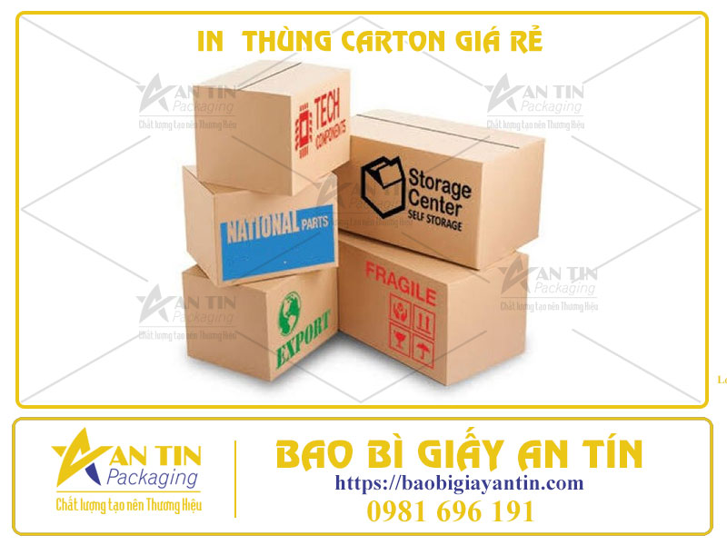 Dịch Vụ In Thùng Carton Giá Rẻ HCM Sự Lựa Chọn Tối Ưu Cho Doanh Nghiệp