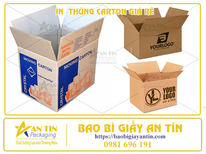 Dịch Vụ In Thùng Carton Giá Rẻ HCM Sự Lựa Chọn Tối Ưu Cho Doanh Nghiệp