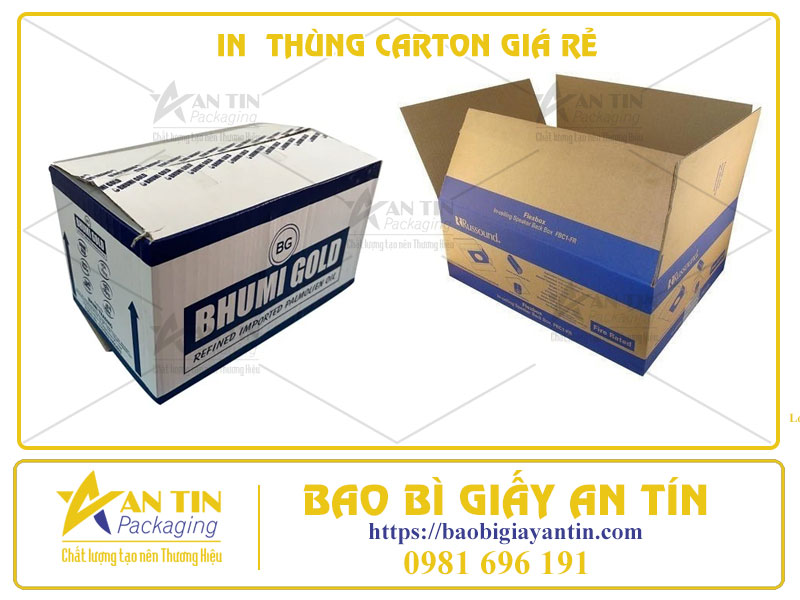 Dịch Vụ In Thùng Carton Giá Rẻ HCM Sự Lựa Chọn Tối Ưu Cho Doanh Nghiệp