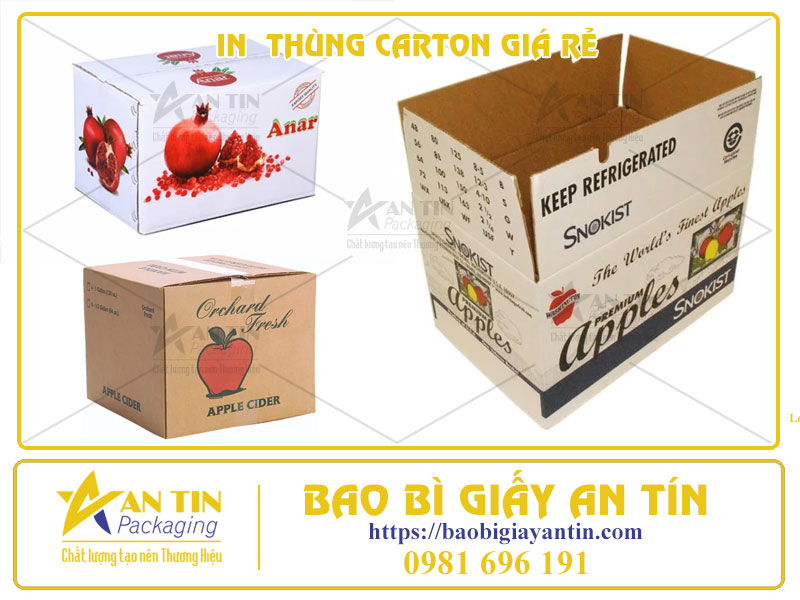 Dịch Vụ In Thùng Carton Giá Rẻ HCM Sự Lựa Chọn Tối Ưu Cho Doanh Nghiệp