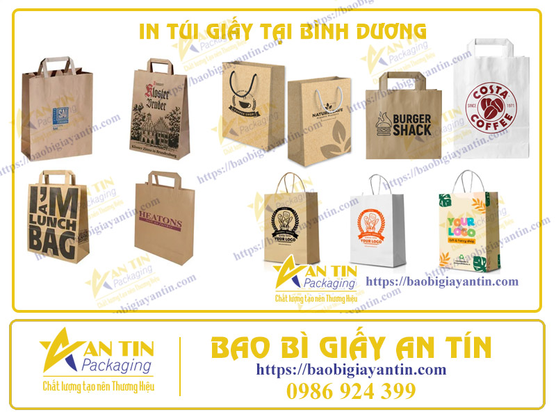 Độc Đáo Và Sáng Tạo - In Túi Giấy Theo Phong Cách Bình Dương