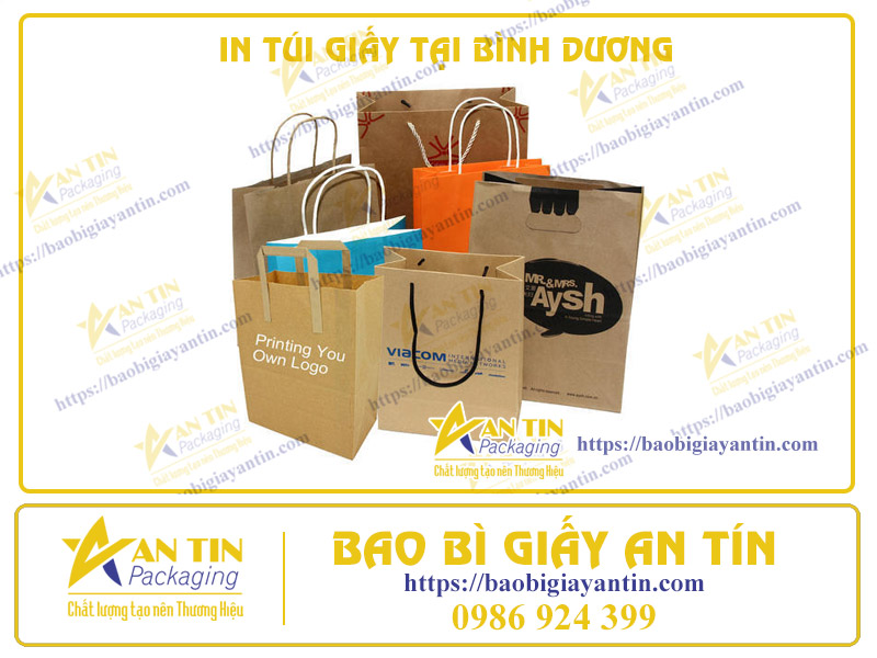 Độc Đáo Và Sáng Tạo - In Túi Giấy Theo Phong Cách Bình Dương