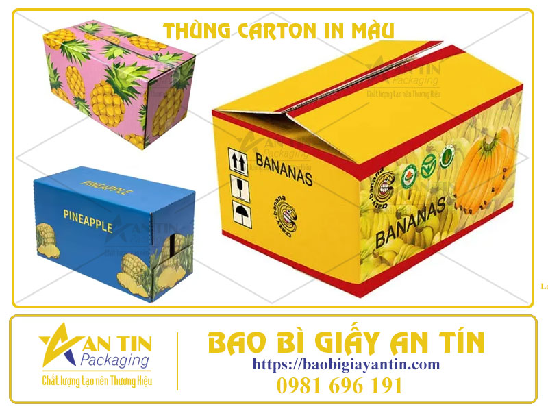 Đột Phá Hình Ảnh Thương Hiệu, Tạo Nét Riêng Với Thùng Carton In Màu