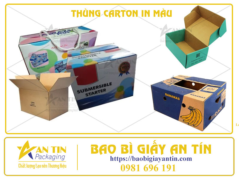 Đột Phá Hình Ảnh Thương Hiệu, Tạo Nét Riêng Với Thùng Carton In Màu