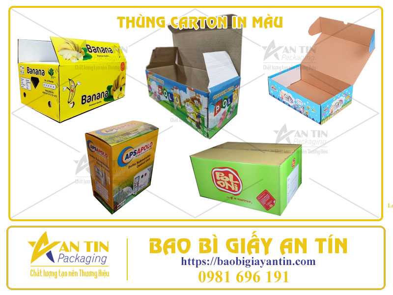Đột Phá Hình Ảnh Thương Hiệu, Tạo Nét Riêng Với Thùng Carton In Màu