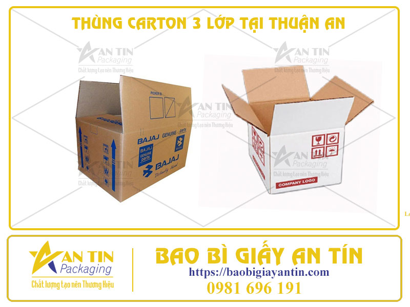 Giải Pháp Đóng Gói An Toàn Với Thùng Carton 3 Lớp Tại Thuận An