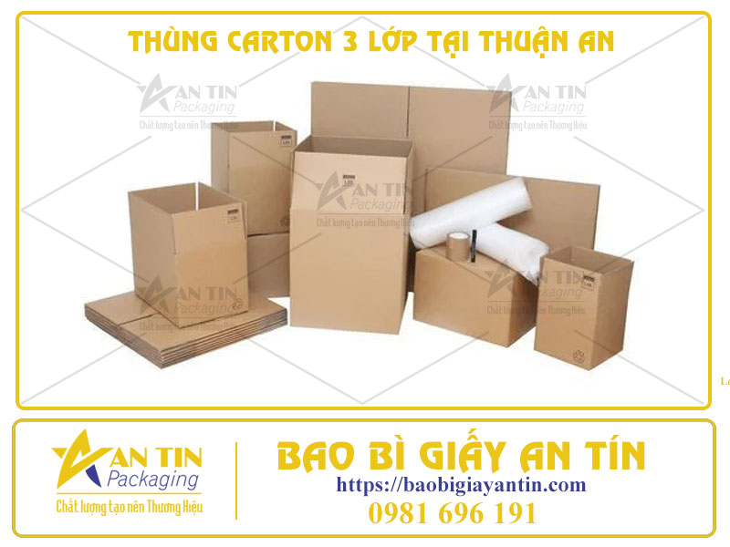 Giải Pháp Đóng Gói An Toàn Với Thùng Carton 3 Lớp Tại Thuận An