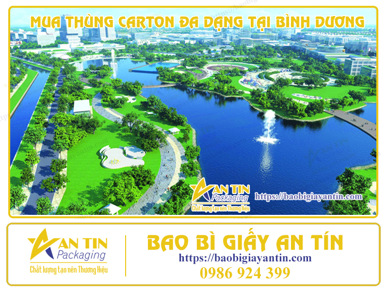 Giải pháp đóng gói thông minh mua thùng carton đa dạng tại Bình Dương