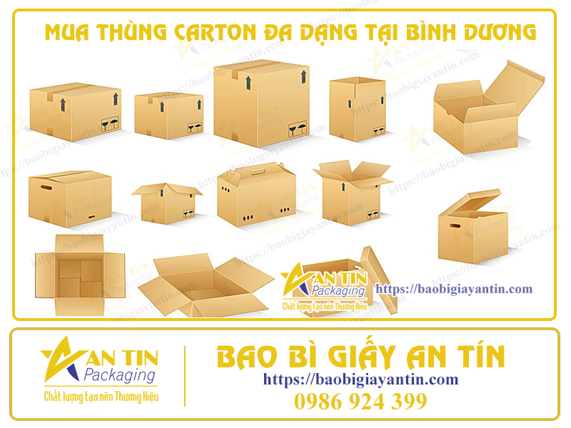 Giải pháp đóng gói thông minh - mua thùng carton đa dạng tại Bình Dương