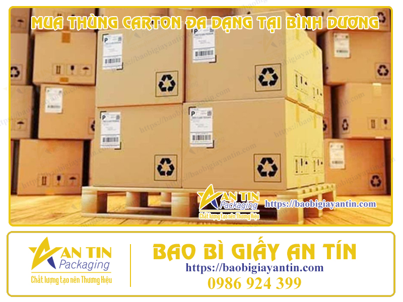 Giải pháp đóng gói thông minh - Mua thùng carton đa dạng tại Bình Dương