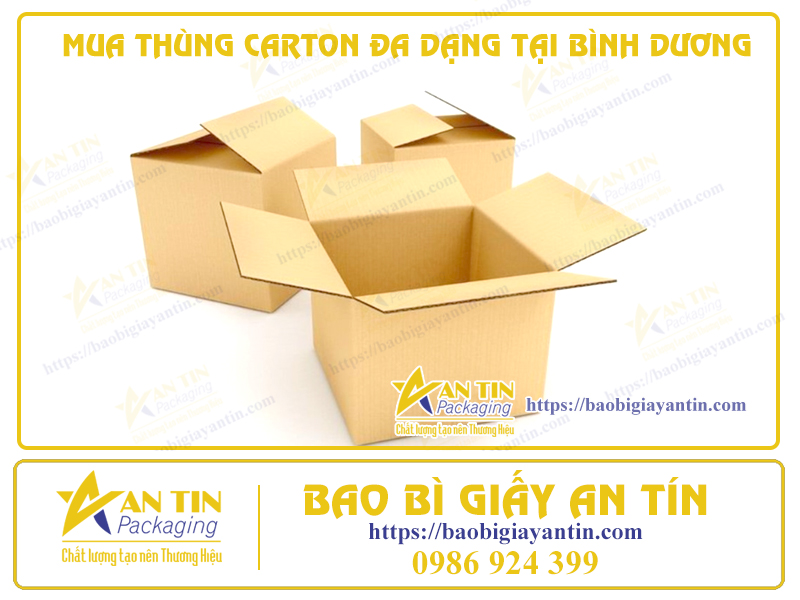 Giải pháp đóng gói thông minh - Mua thùng carton đa dạng tại Bình Dương