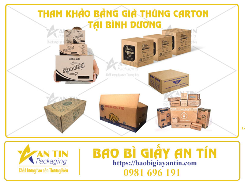 Giải Pháp Đóng Gói Tiết Kiệm - Tham Khảo Bảng Giá Thùng Carton Tại Bình Dương