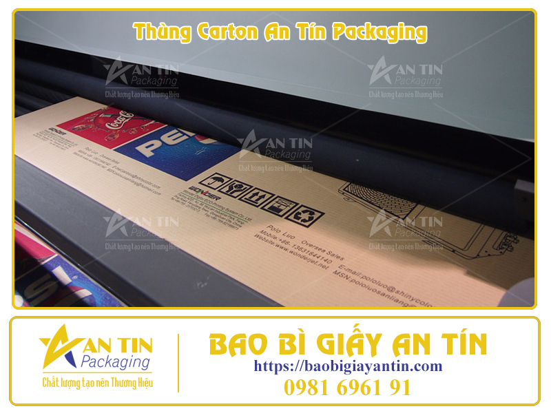 Giải Pháp In Ấn Thùng Carton Tiết Kiệm Chi Phí, Tối Ưu Chất Lượng Giải Pháp In Ấn Thùng Carton Tiết Kiệm Chi Phí, Tối Ưu Chất Lượng