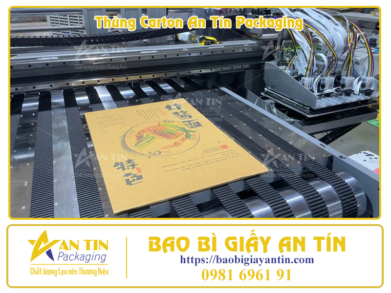 Giải Pháp In Ấn Thùng Carton Tiết Kiệm Chi Phí, Tối Ưu Chất Lượng Giải Pháp In Ấn Thùng Carton Tiết Kiệm Chi Phí, Tối Ưu Chất Lượng