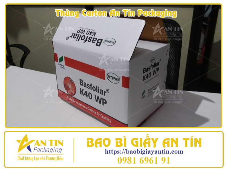 Giải Pháp In Ấn Thùng Carton Tiết Kiệm Chi Phí, Tối Ưu Chất Lượng Giải Pháp In Ấn Thùng Carton Tiết Kiệm Chi Phí, Tối Ưu Chất Lượng