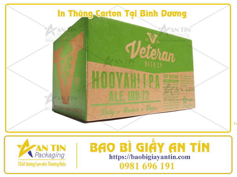 Giải Pháp In Thùng Carton Tại Bình Dương Bền Đẹp, Giá Tốt Cho Mọi Doanh Nghiệp Giải Pháp In Thùng Carton Tại Bình Dương Bền Đẹp, Giá Tốt Cho Mọi Doanh Nghiệp