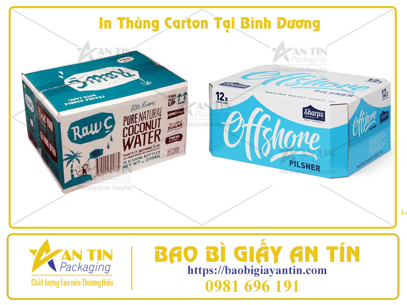 Giải Pháp In Thùng Carton Tại Bình Dương Bền Đẹp, Giá Tốt Cho Mọi Doanh Nghiệp Giải Pháp In Thùng Carton Tại Bình Dương Bền Đẹp, Giá Tốt Cho Mọi Doanh Nghiệp
