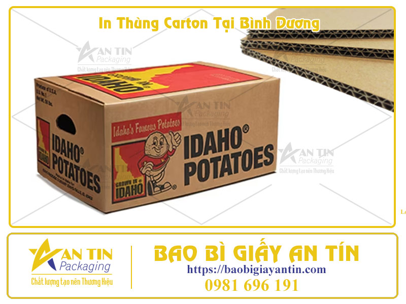 Giải Pháp In Thùng Carton Tại Bình Dương Bền Đẹp, Giá Tốt Cho Mọi Doanh Nghiệp Giải Pháp In Thùng Carton Tại Bình Dương Bền Đẹp, Giá Tốt Cho Mọi Doanh Nghiệp