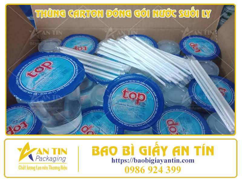 Giới Thiệu 5 Mẫu Thùng Carton Đóng Gói Nước Suối Ly Các Loại
