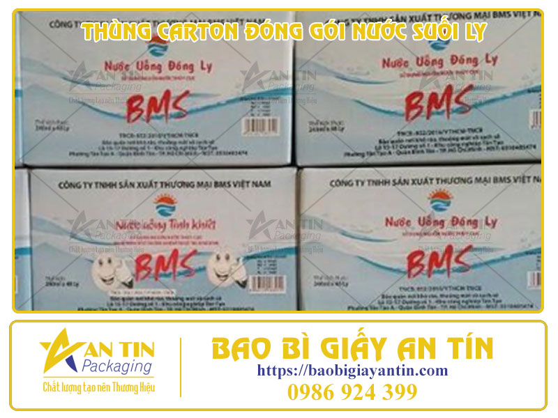 Giới Thiệu 5 Mẫu Thùng Carton Đóng Gói Nước Suối Ly Các Loại