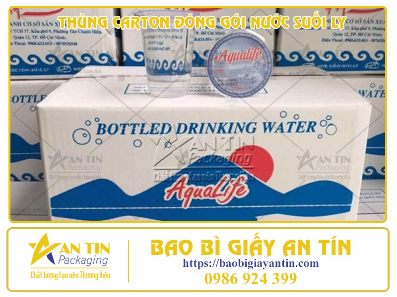 Giới Thiệu 5 Mẫu Thùng Carton Đóng Gói Nước Suối Ly Các Loại