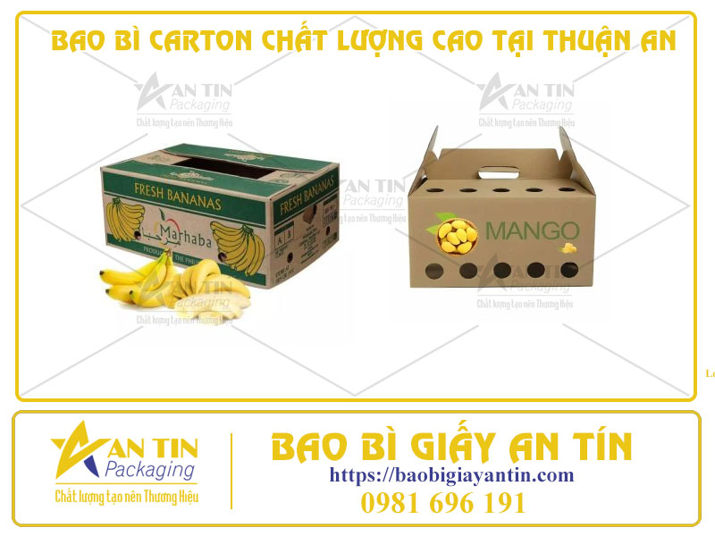 Hiện Đại Hóa Đóng Gói Với Bao Bì Carton Chất Lượng Cao Tại Thuận An