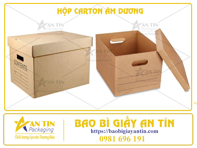 Hộp Carton Âm Dương Giải Pháp Đóng Gói Đa Năng và Hiệu Quả