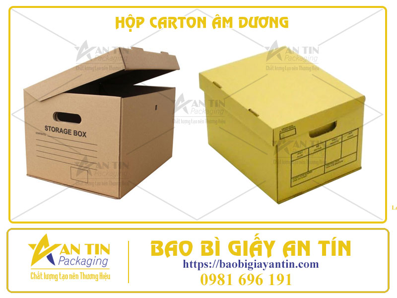 Hộp Carton Âm Dương Giải Pháp Đóng Gói Đa Năng và Hiệu Quả