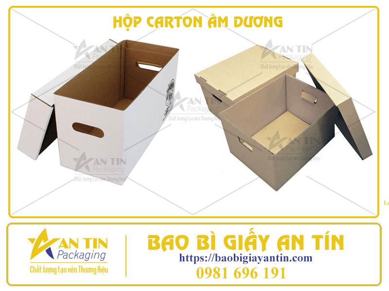 Hộp Carton Âm Dương Giải Pháp Đóng Gói Đa Năng và Hiệu Quả