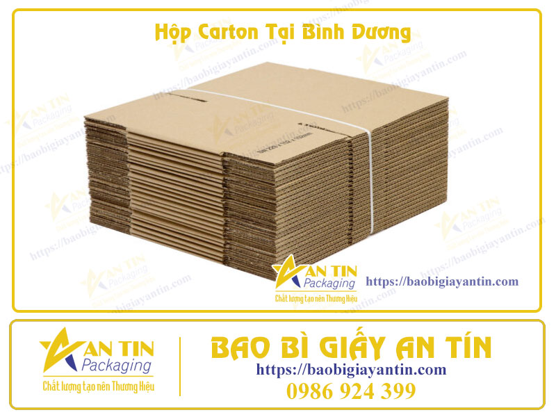 Hộp carton tại Bình Dương Hộp carton tại Bình Dương