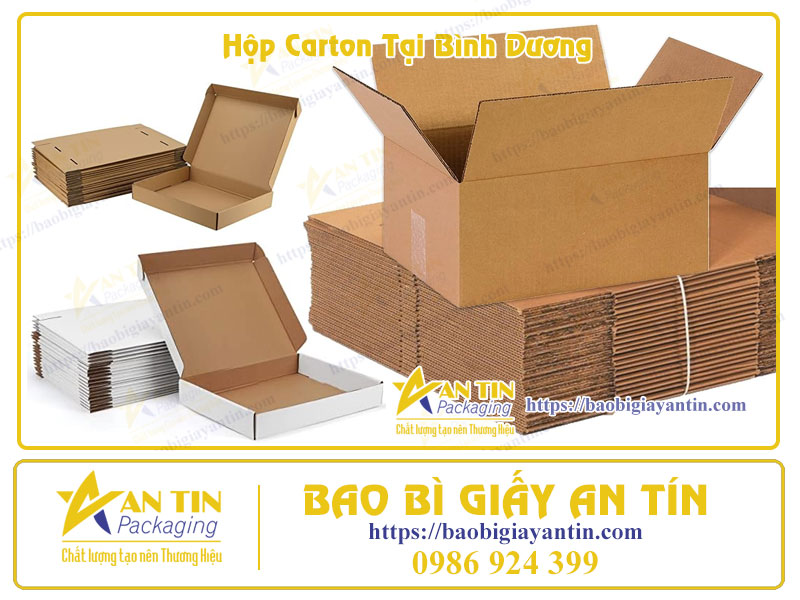 Hộp carton tại Bình Dương Hộp carton tại Bình Dương